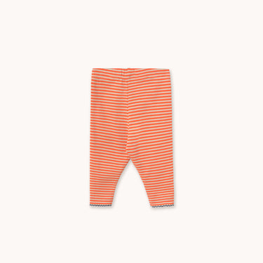 ★DROP1★2026AW★tinycottons タイニーコットンズ Stripes Rib Baby Pant AW26-274