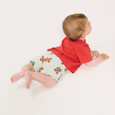 ★DROP2★2026SS★BOBOCHOSES ボボショーズ Juicy Tomatoes all over shorts B126AB051