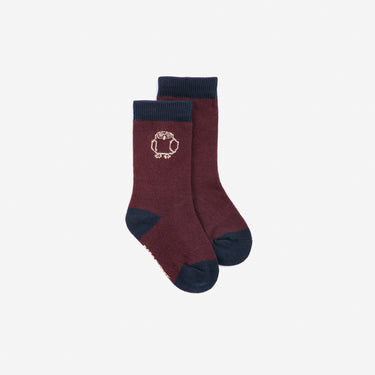 ★DROP2★2026AW★BOBOCHOSES ボボショーズ Curious Owl socks pack B226AH024