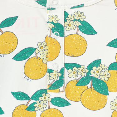 ★DROP1★2026SS★tinycottons タイニーコットンズ Oranges Knitted Baby Tee off-white SS26-029