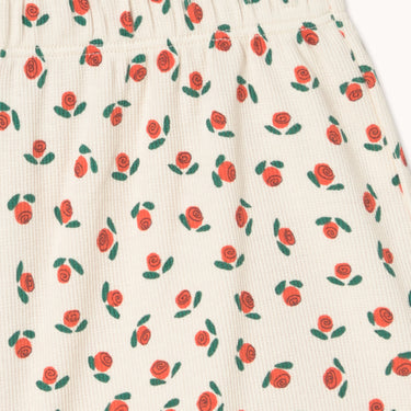 ★DROP2★2026SS★tinycottons タイニーコットンズ Tiny Roses Rib Short off-white SS26-100