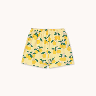 ★DROP1★2026SS★tinycottons タイニーコットンズ Oranges Rib Short mellow yellow SS26-113
