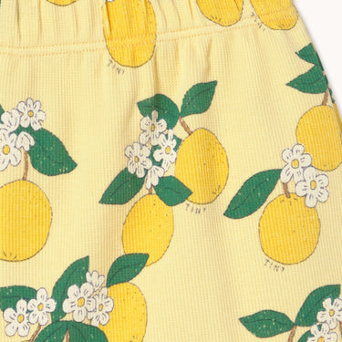 ★DROP1★2026SS★tinycottons タイニーコットンズ Oranges Rib Short mellow yellow SS26-113