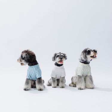 ★入荷済み★2026SS★nunuforme ヌヌフォルム ミニinuinu犬服 White×Pink inuinu-001-003
