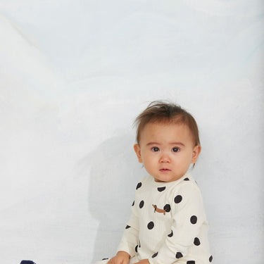 ★Chapter1★2026AW★mini rodini ミニロディーニ Elephant shrew 2-pack socks Multi
